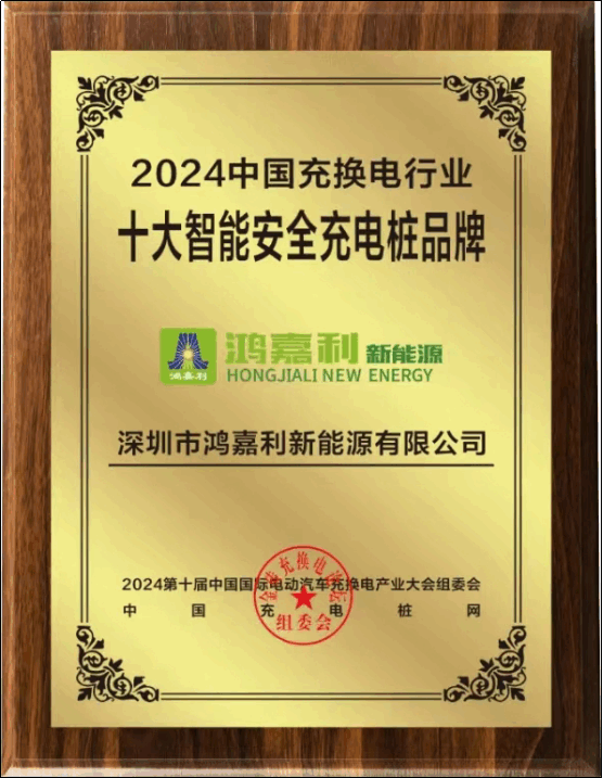 2024中国充换电行业十大智能安全充电桩